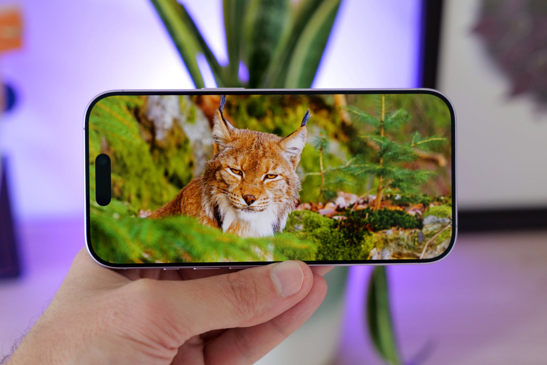 Test Iphone 17 Ecran